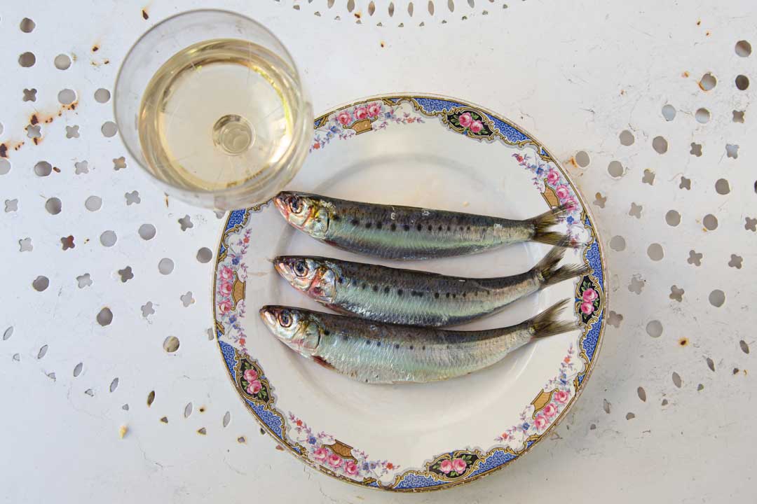 Sardines et Grand Large