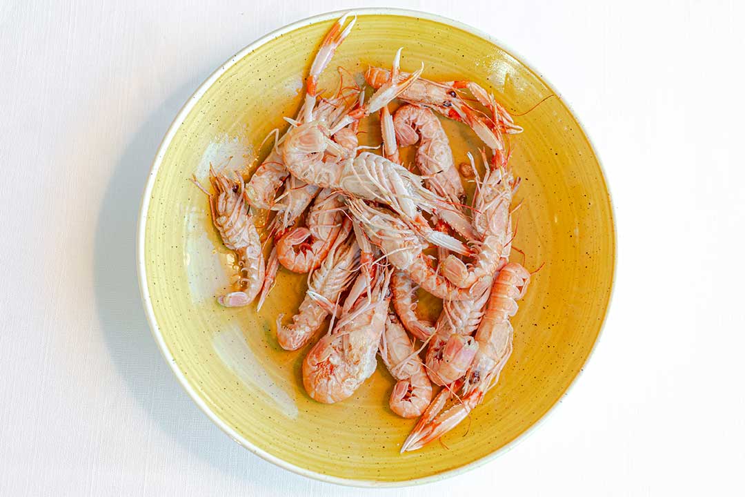 escamarlans