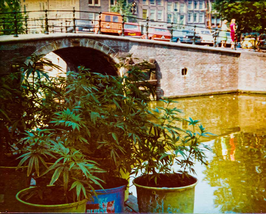 Jardin potager sur une péniche