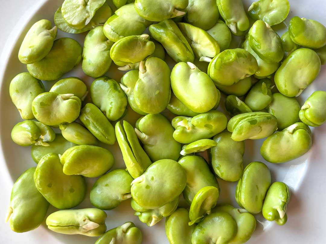 Fèves, pelées et écossées