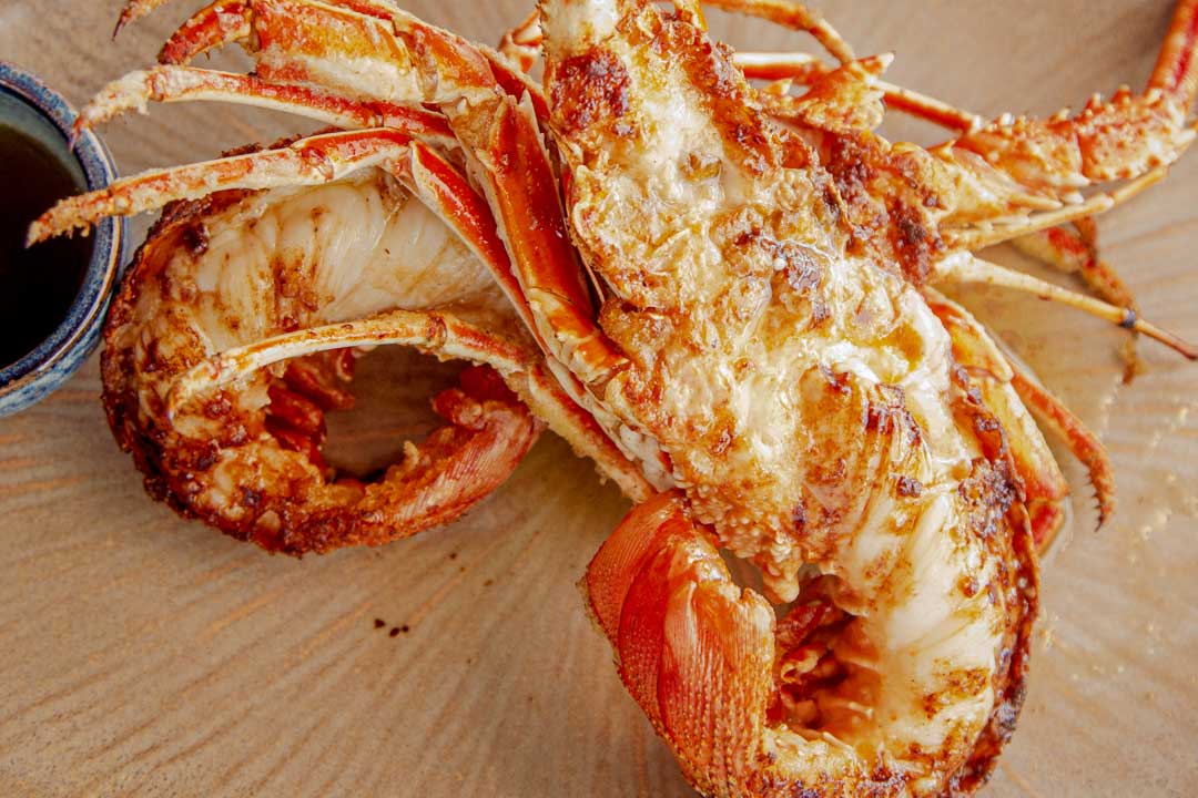 Langouste du Cap de Creus