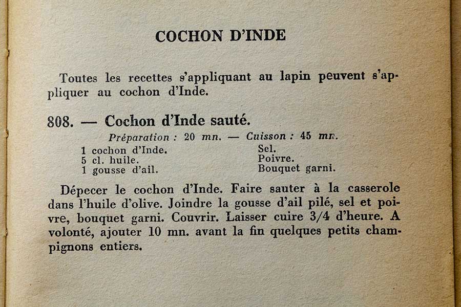Recette du cochon d’Inde sauté